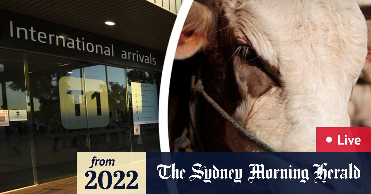 Australia news LIVE NSW COVID cases grow; foot and mouth disease